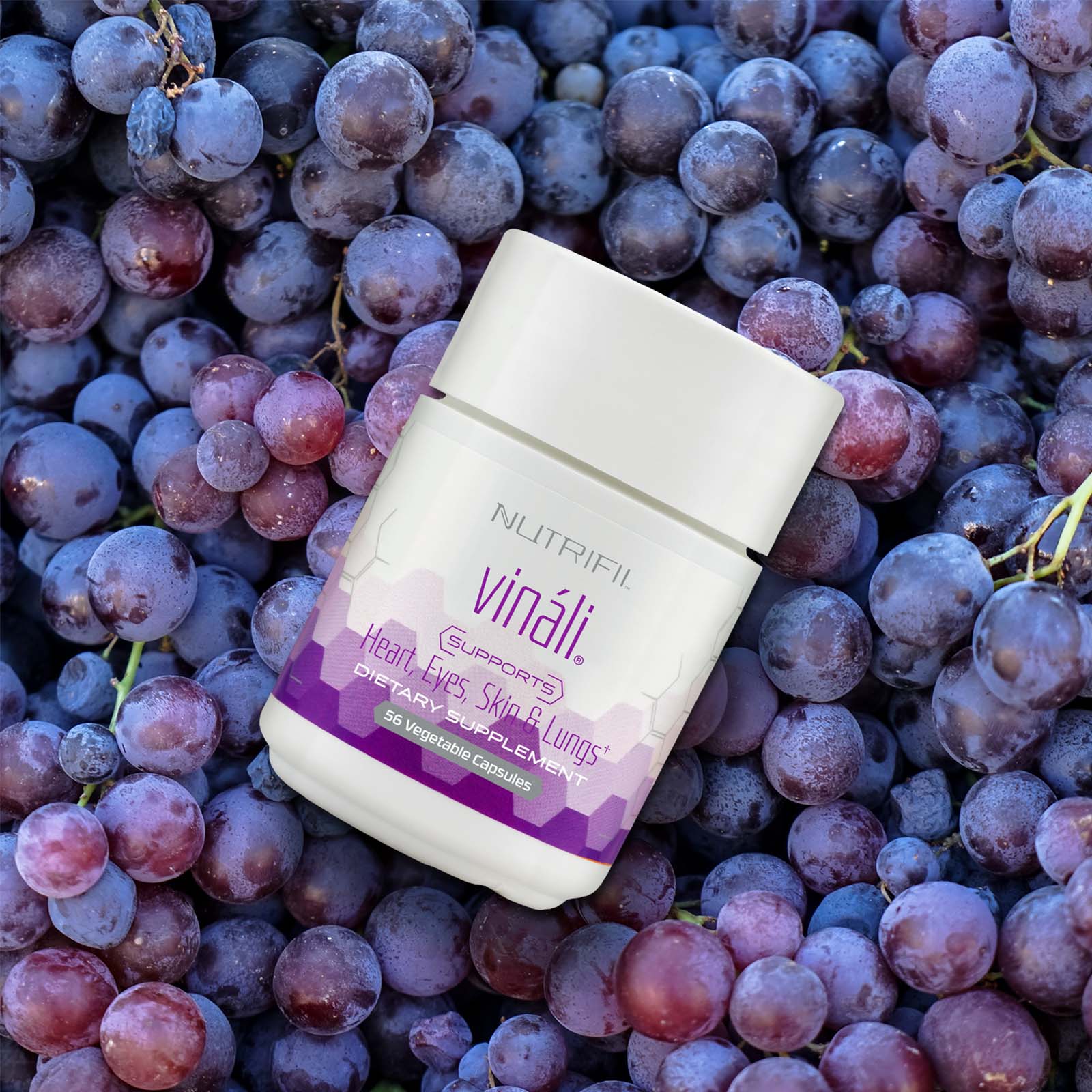Nutrifii Vináli – Antioxidant Blend with Vitamin C & Grape Seed